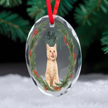 Celebrate The Purr-Fect Moments Of The Season