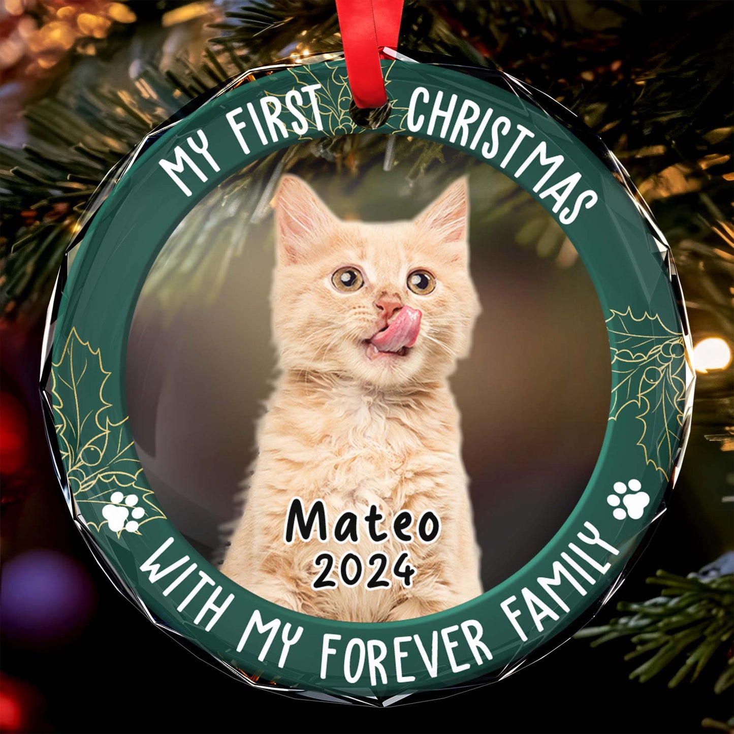 My First Christmas With My Forever Family Circle Ornament