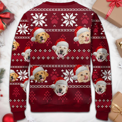 Celebrate The Season With Your Furry Friends