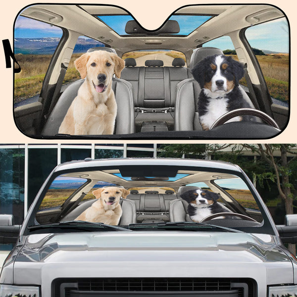 Drive With Your Best Friends In Style, Dogs