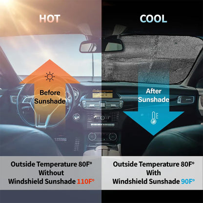 Capture Your Pet's Personality Perfectly, Cartoon Dogs And Cat