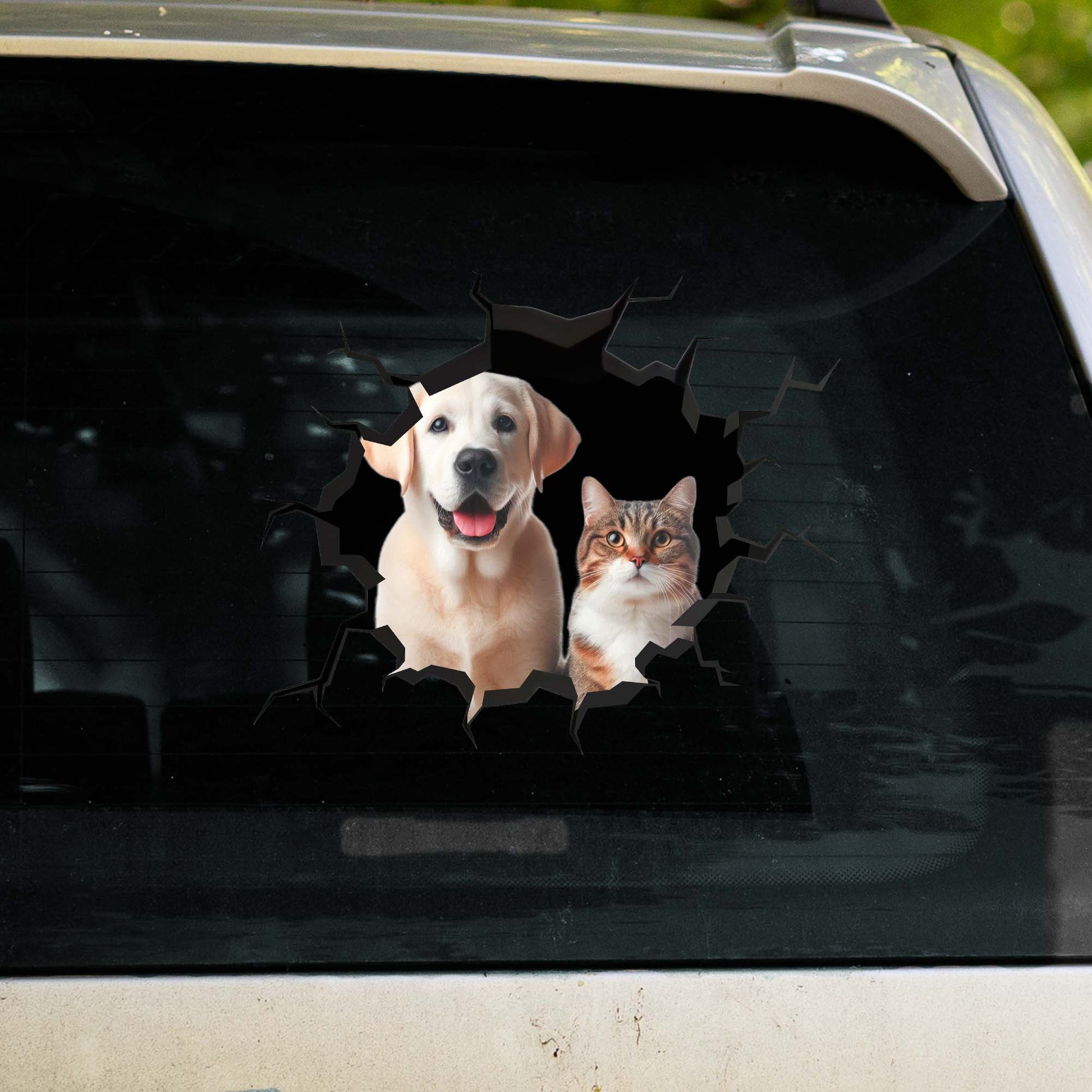 Showcase Your Love For Your Cat And Dog