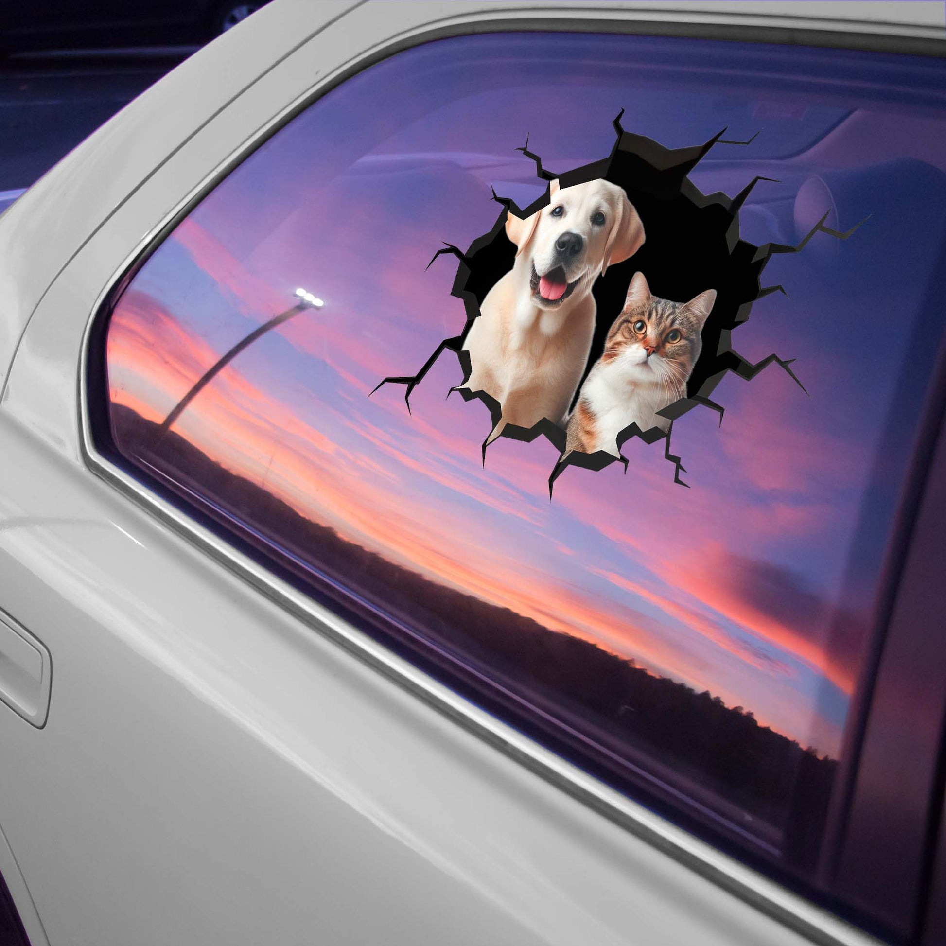 Showcase Your Love For Your Cat And Dog