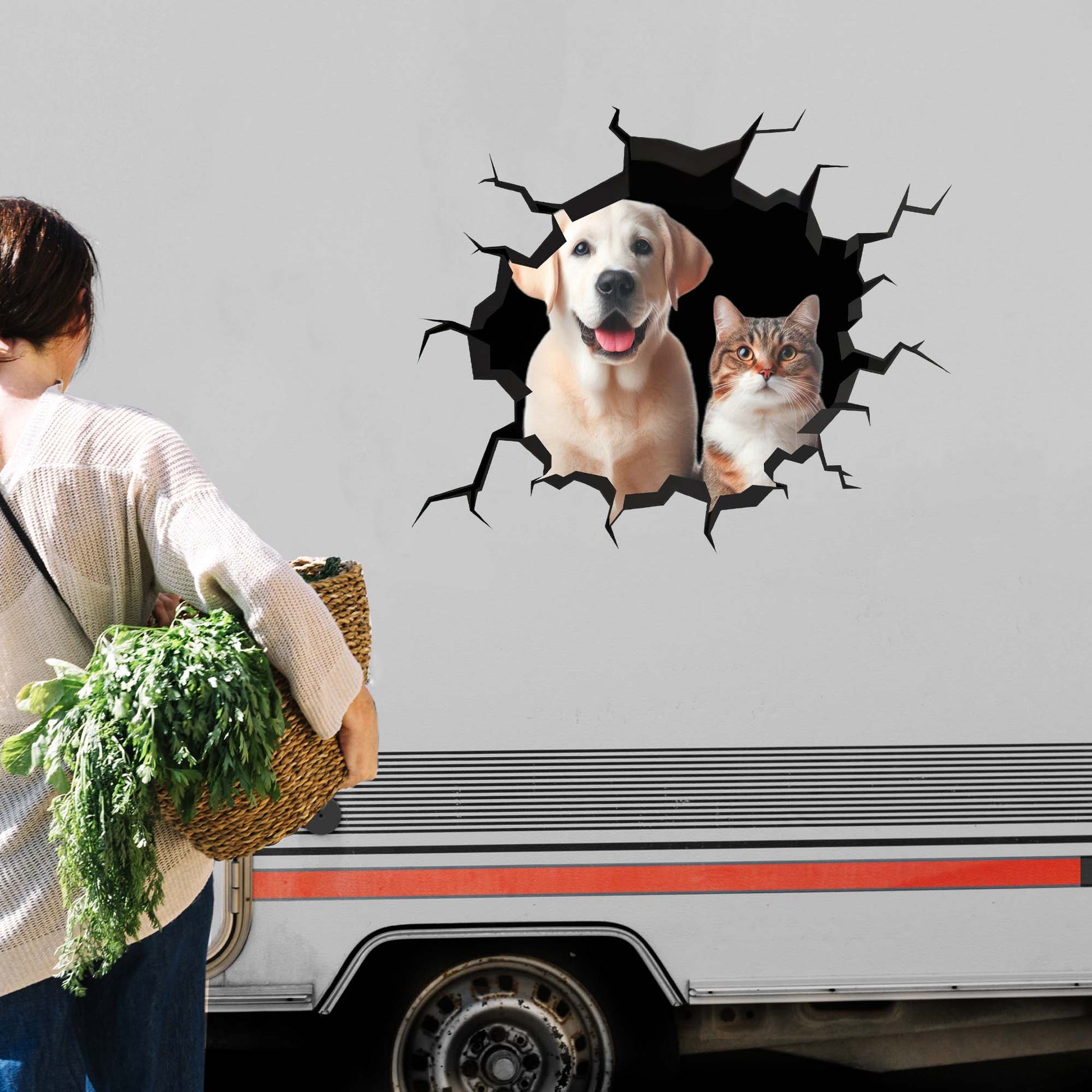 Showcase Your Love For Your Cat And Dog