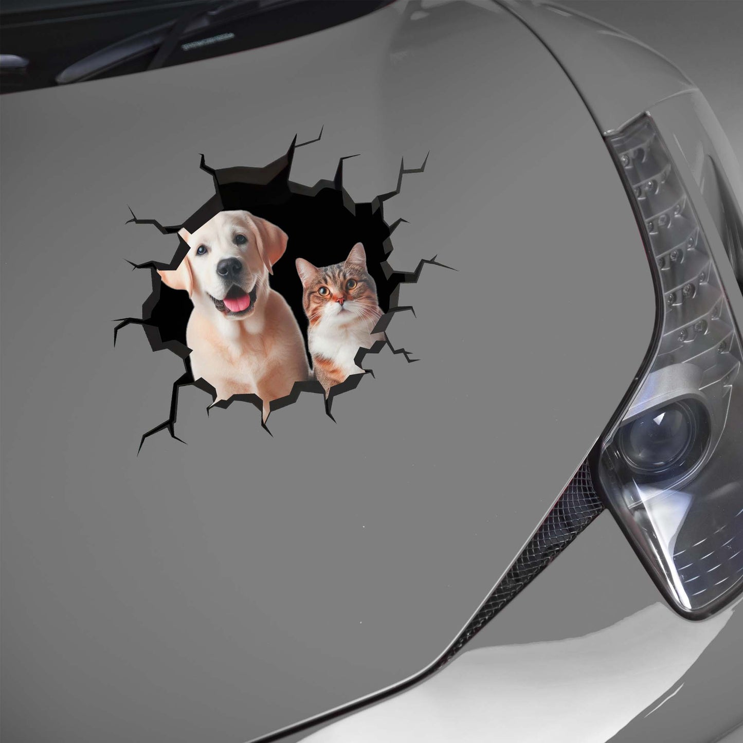 Showcase Your Love For Your Cat And Dog