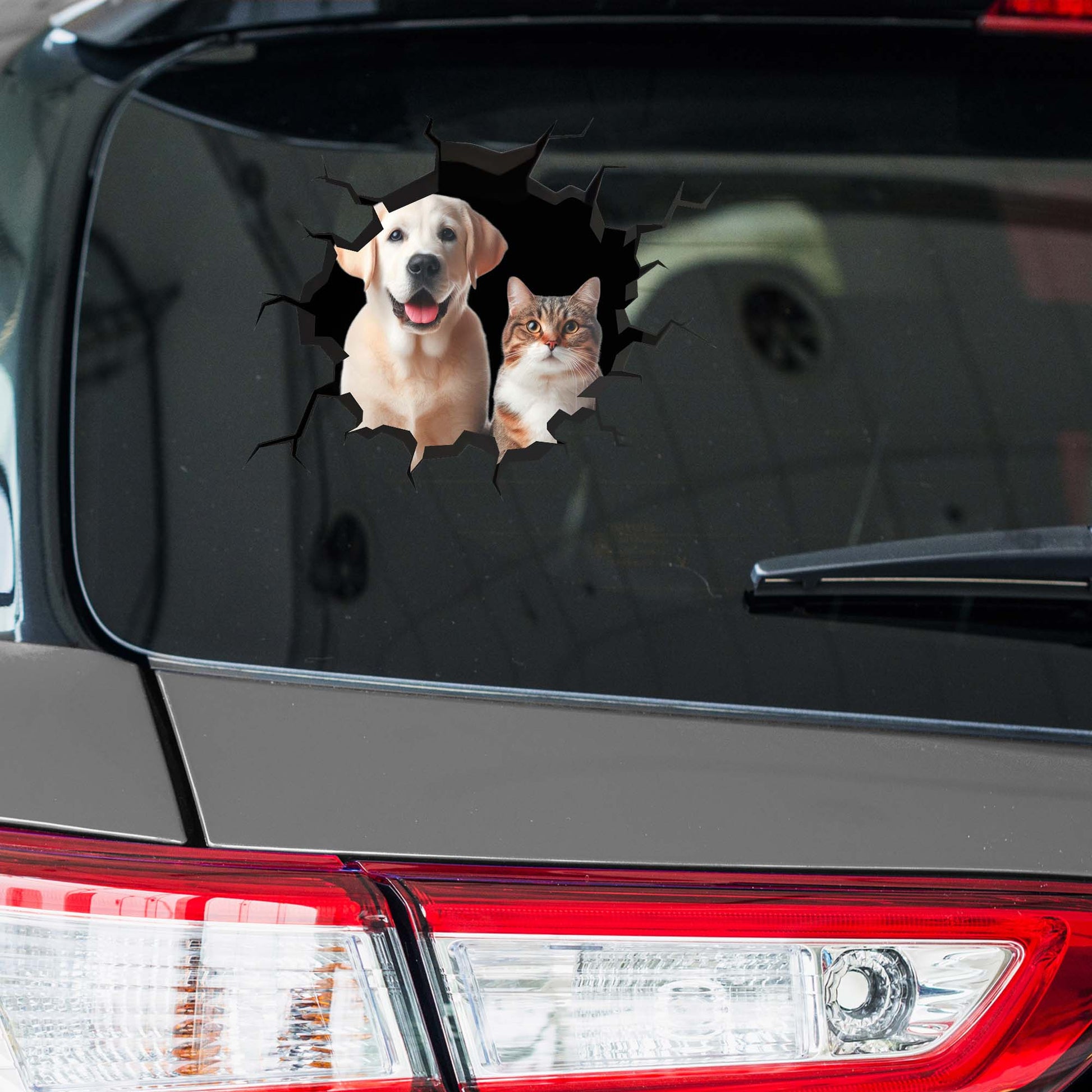 Showcase Your Love For Your Cat And Dog