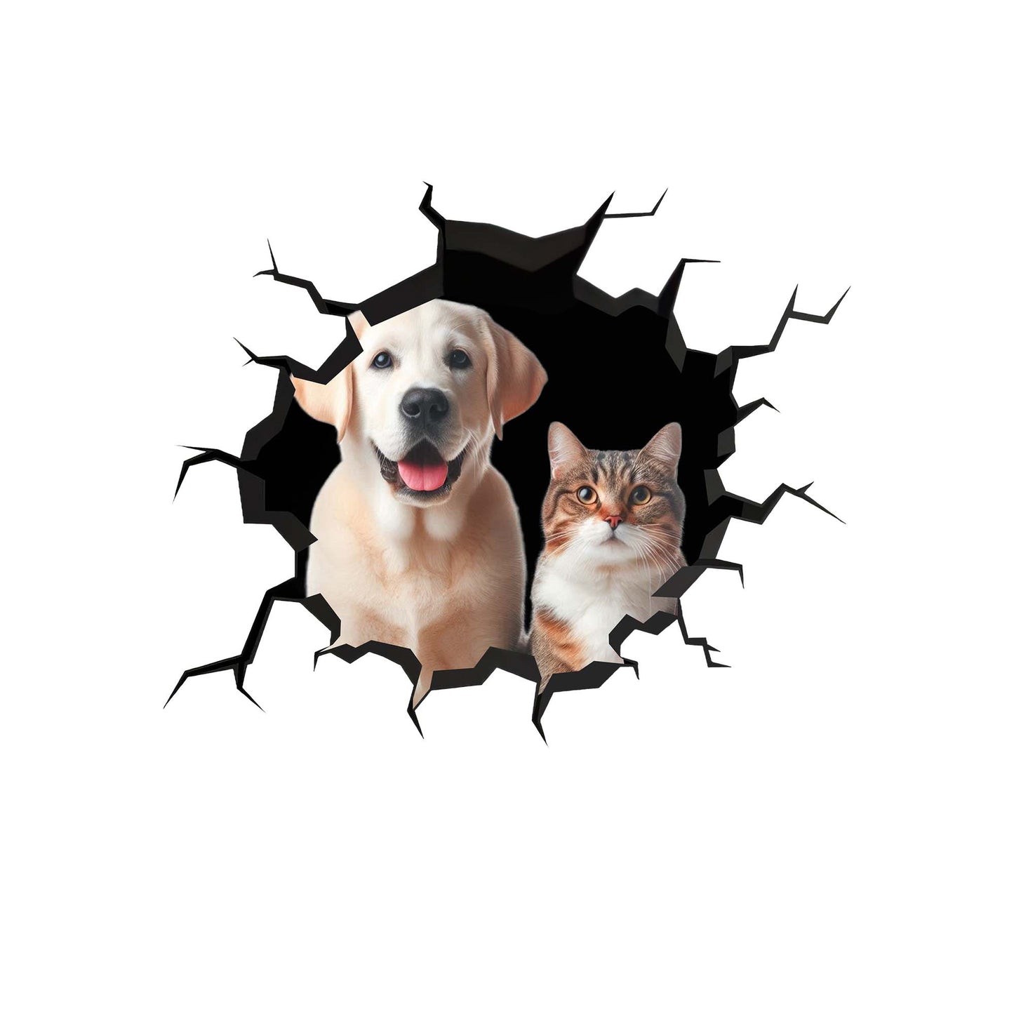 Showcase Your Love For Your Cat And Dog