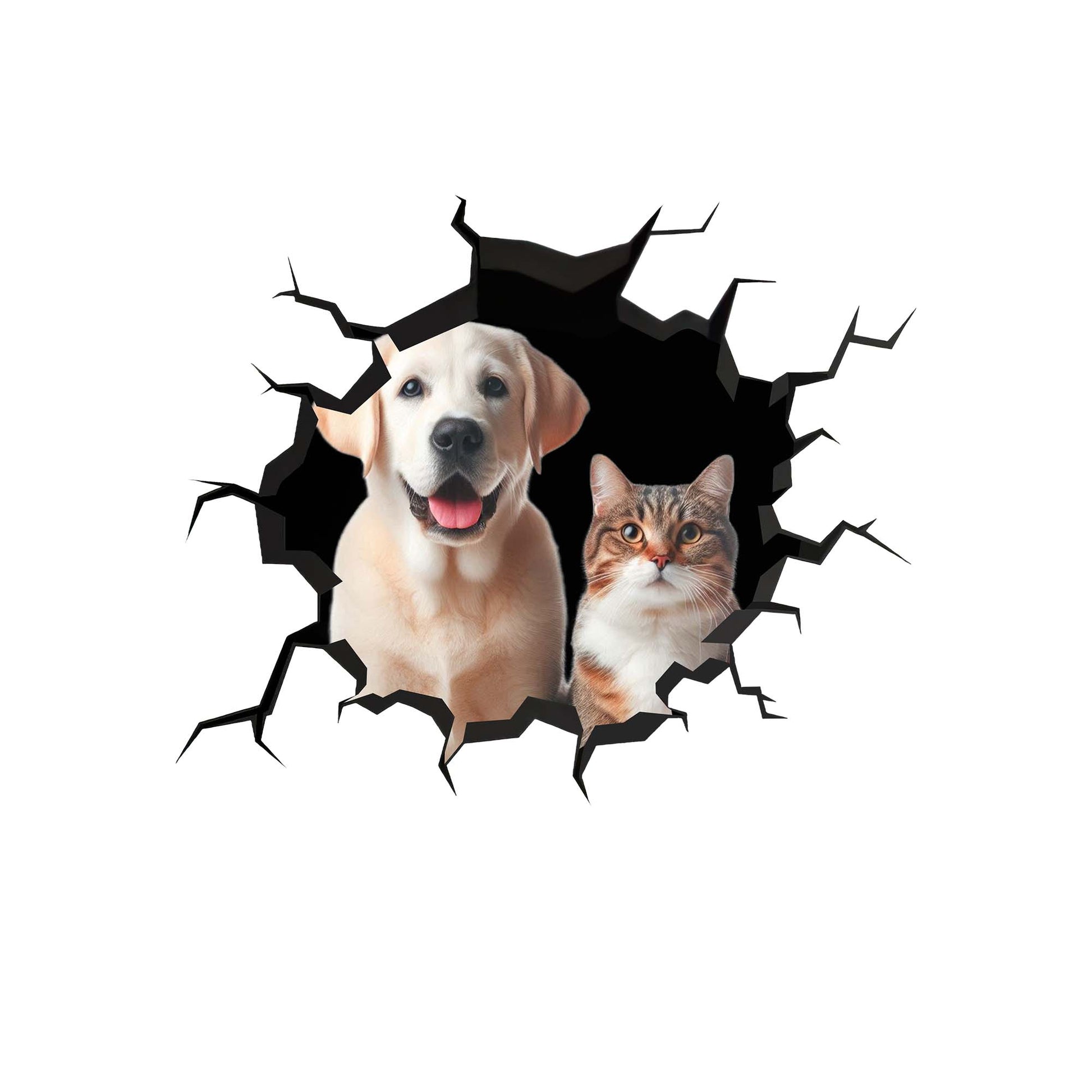 Showcase Your Love For Your Cat And Dog