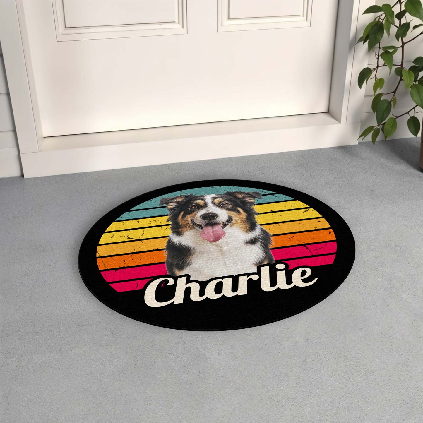 Charlie And Colorful Stripes Design