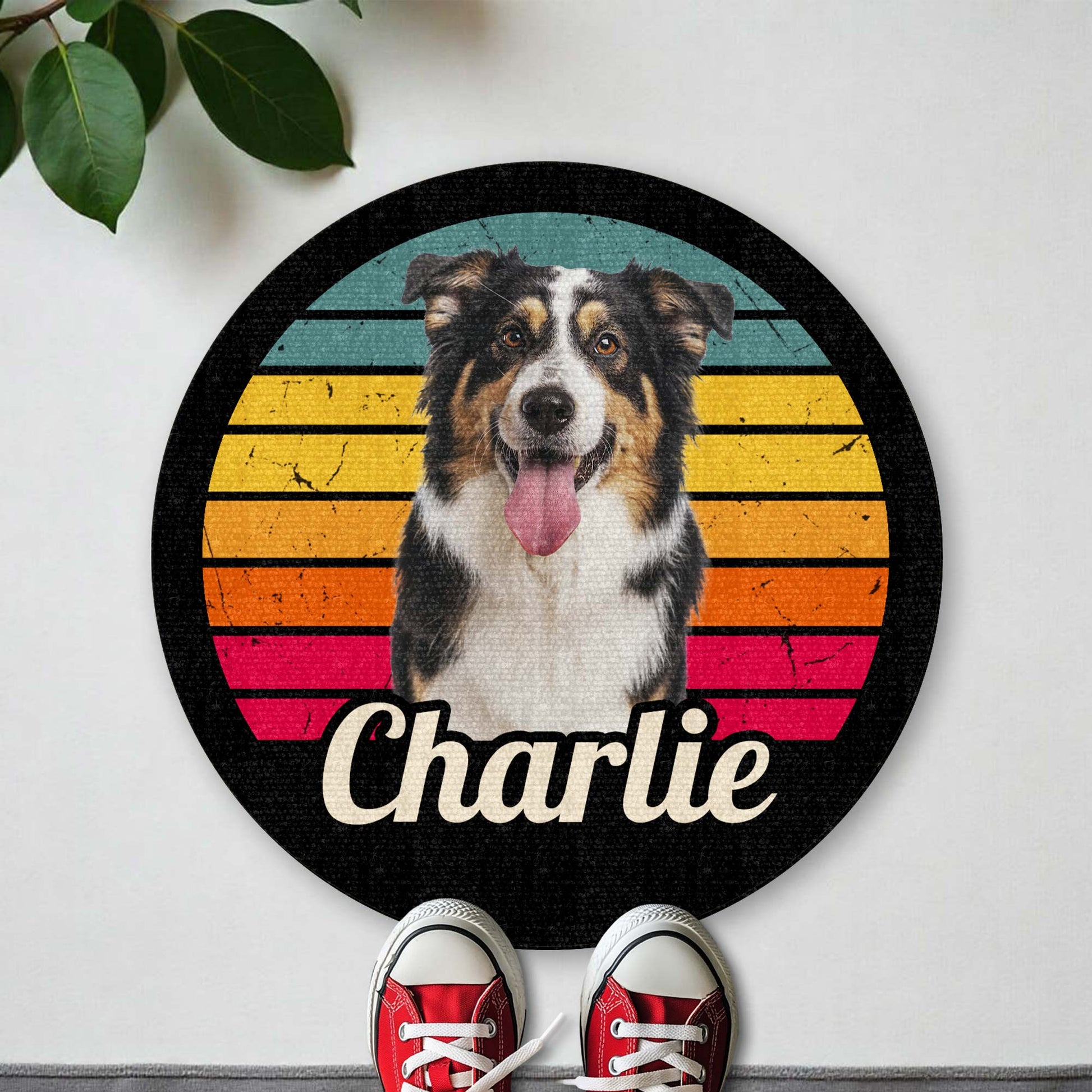 Charlie And Colorful Stripes Design