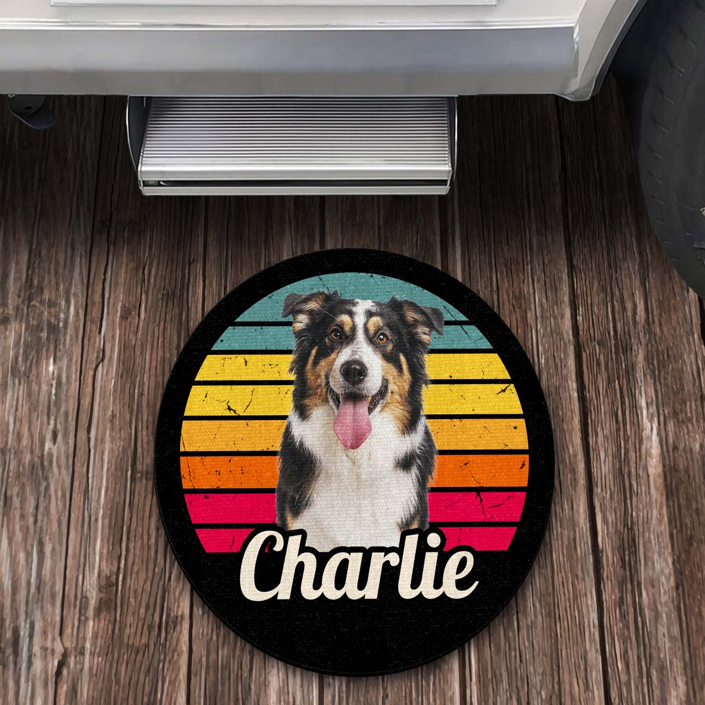 Charlie And Colorful Stripes Design