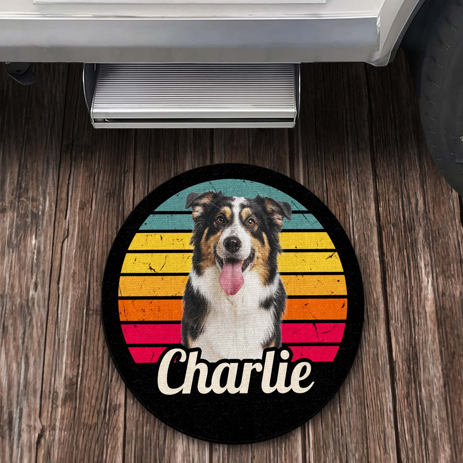 Charlie And Colorful Stripes Design