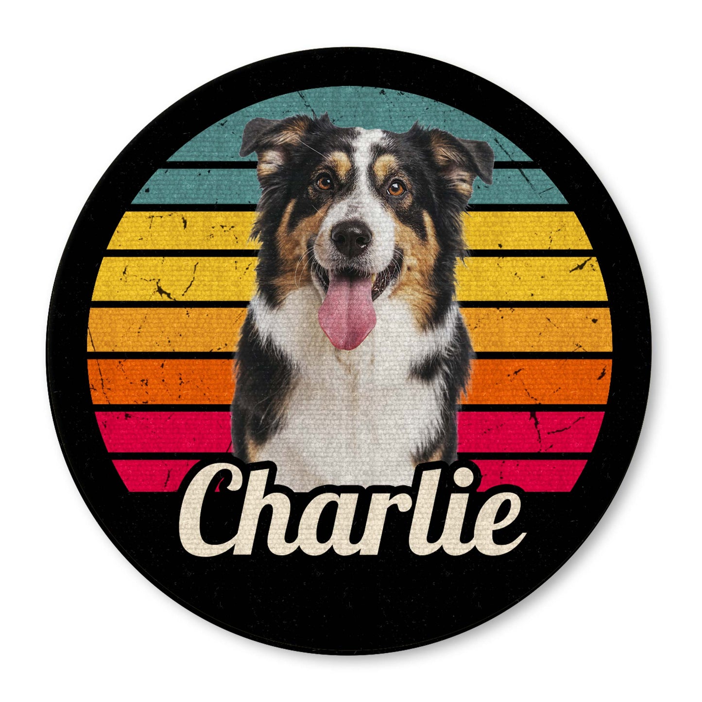 Charlie And Colorful Stripes Design