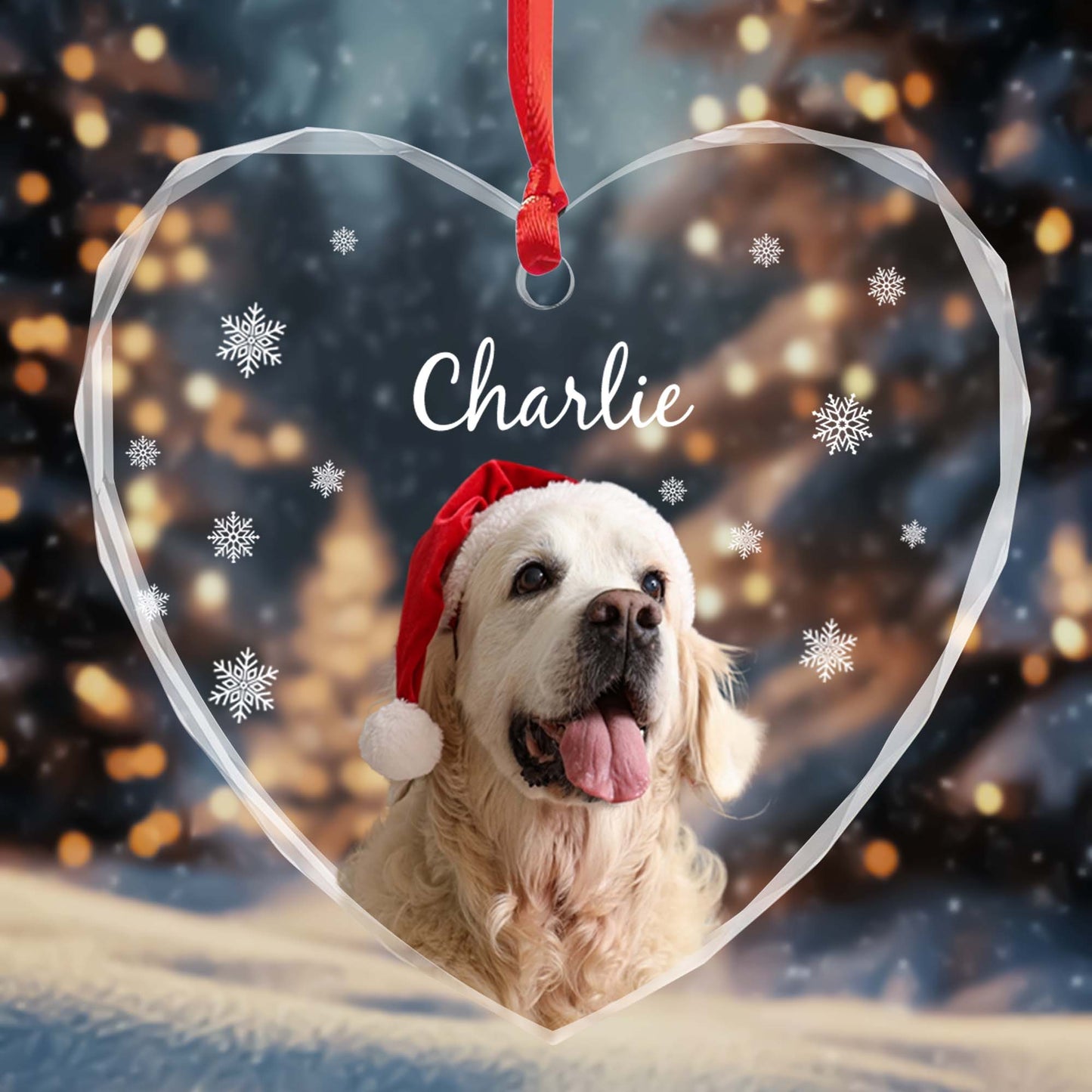 Capture Special Moments With Your Beloved Pet