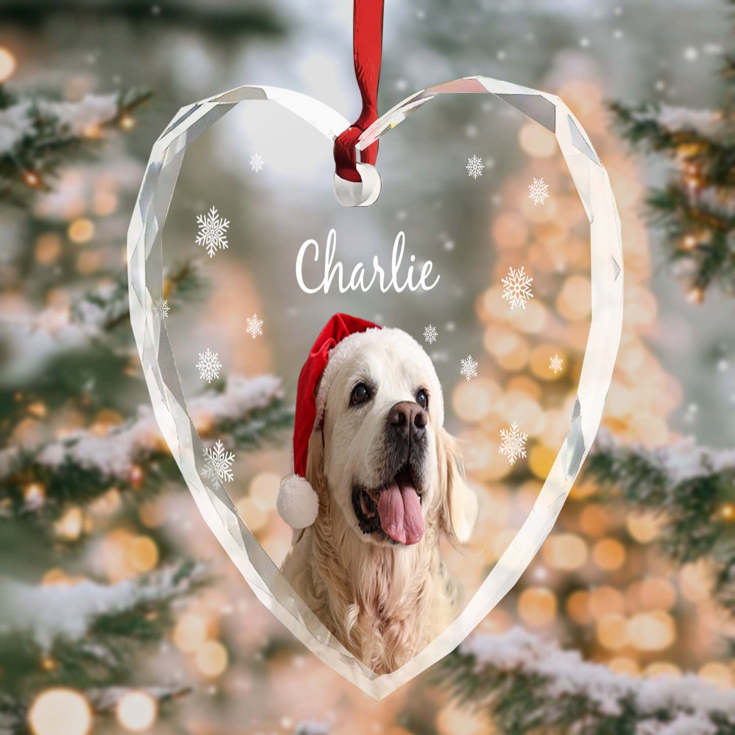 Capture Special Moments With Your Beloved Pet