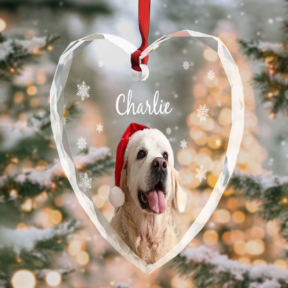 Capture Special Moments With Your Beloved Pet