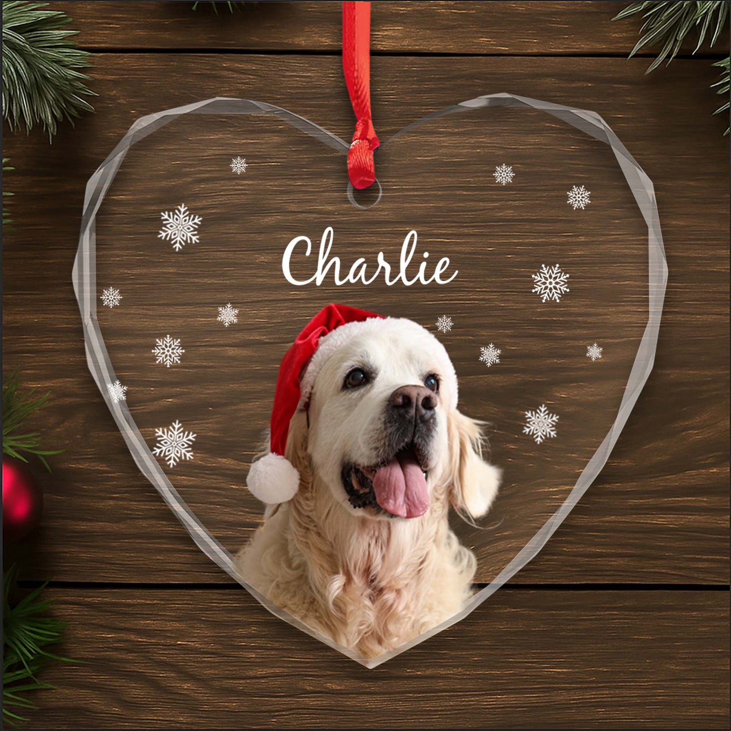 Capture Special Moments With Your Beloved Pet