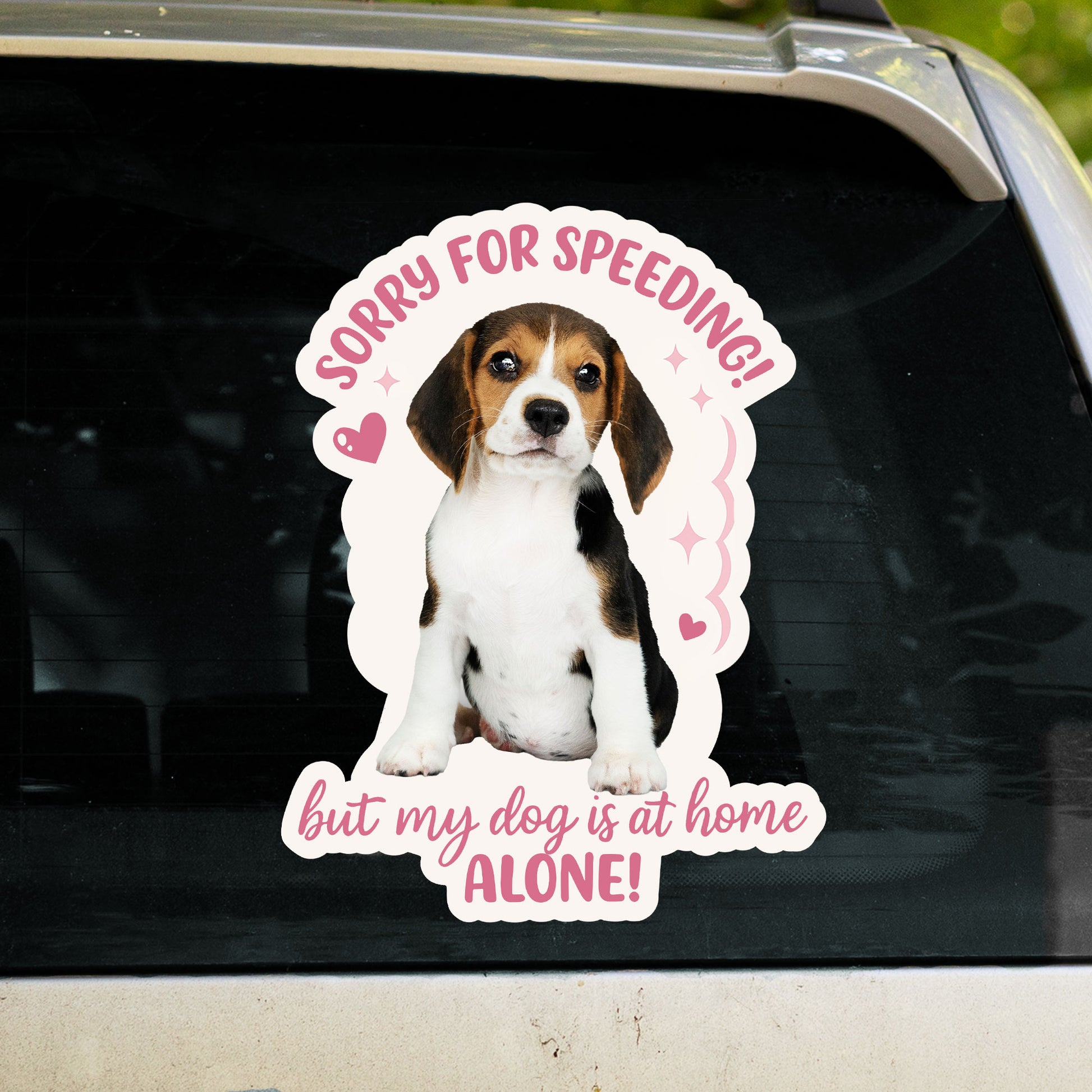 Sorry For Speeding But My Dog Is At Home Alone