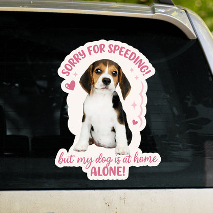 Sorry For Speeding But My Dog Is At Home Alone