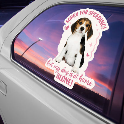 Sorry For Speeding But My Dog Is At Home Alone