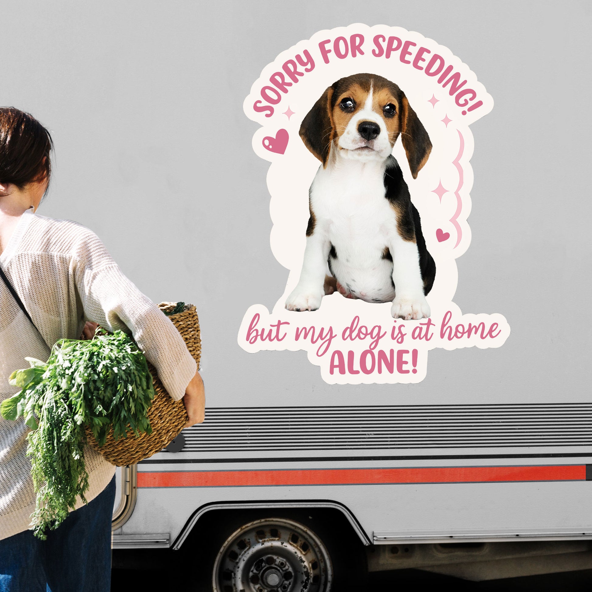 Sorry For Speeding But My Dog Is At Home Alone