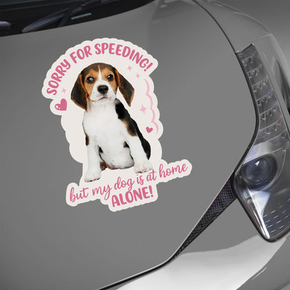 Sorry For Speeding But My Dog Is At Home Alone