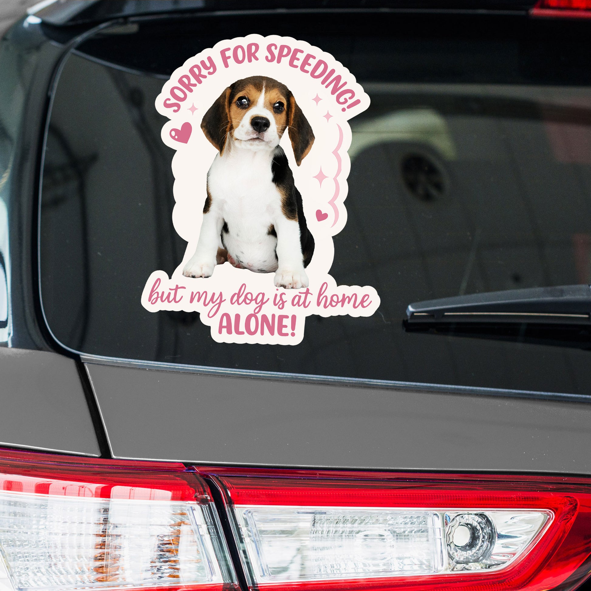 Sorry For Speeding But My Dog Is At Home Alone