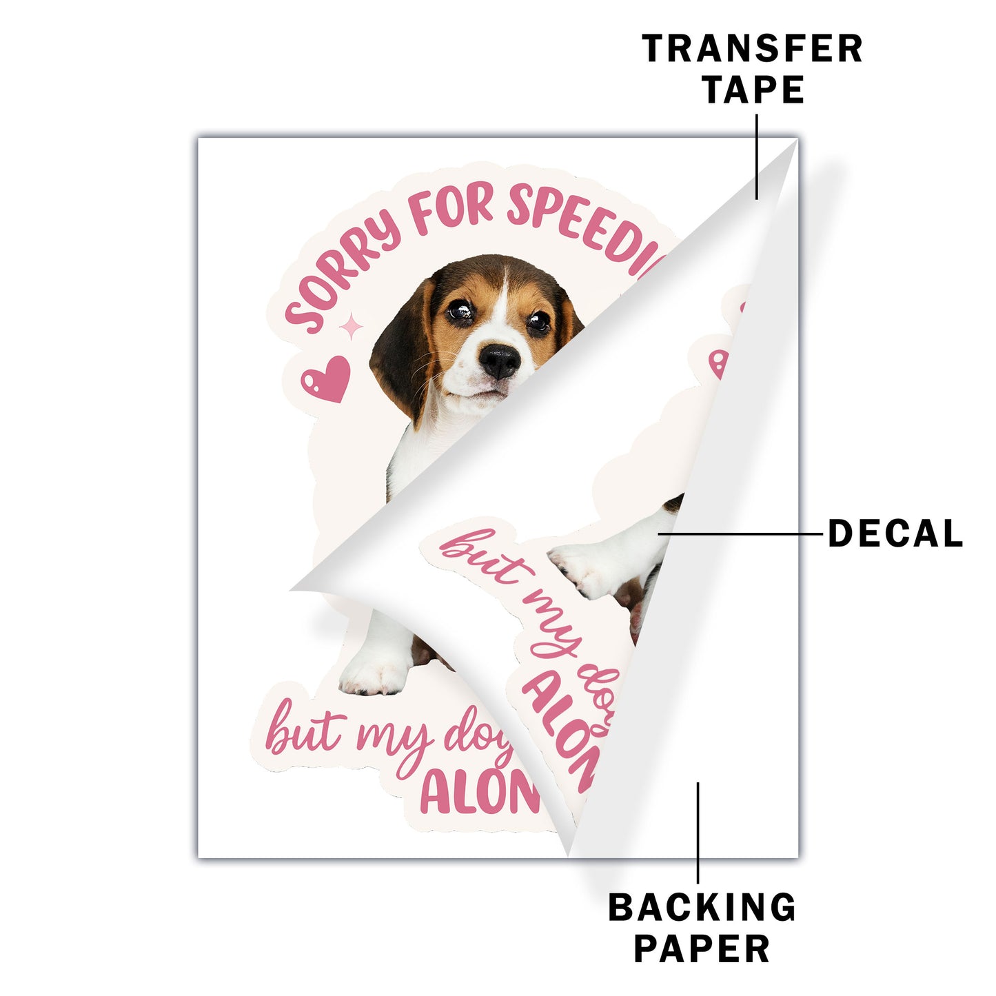 Sorry For Speeding But My Dog Is At Home Alone