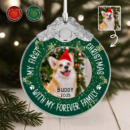 My First Christmas With Dog And Santa Hat