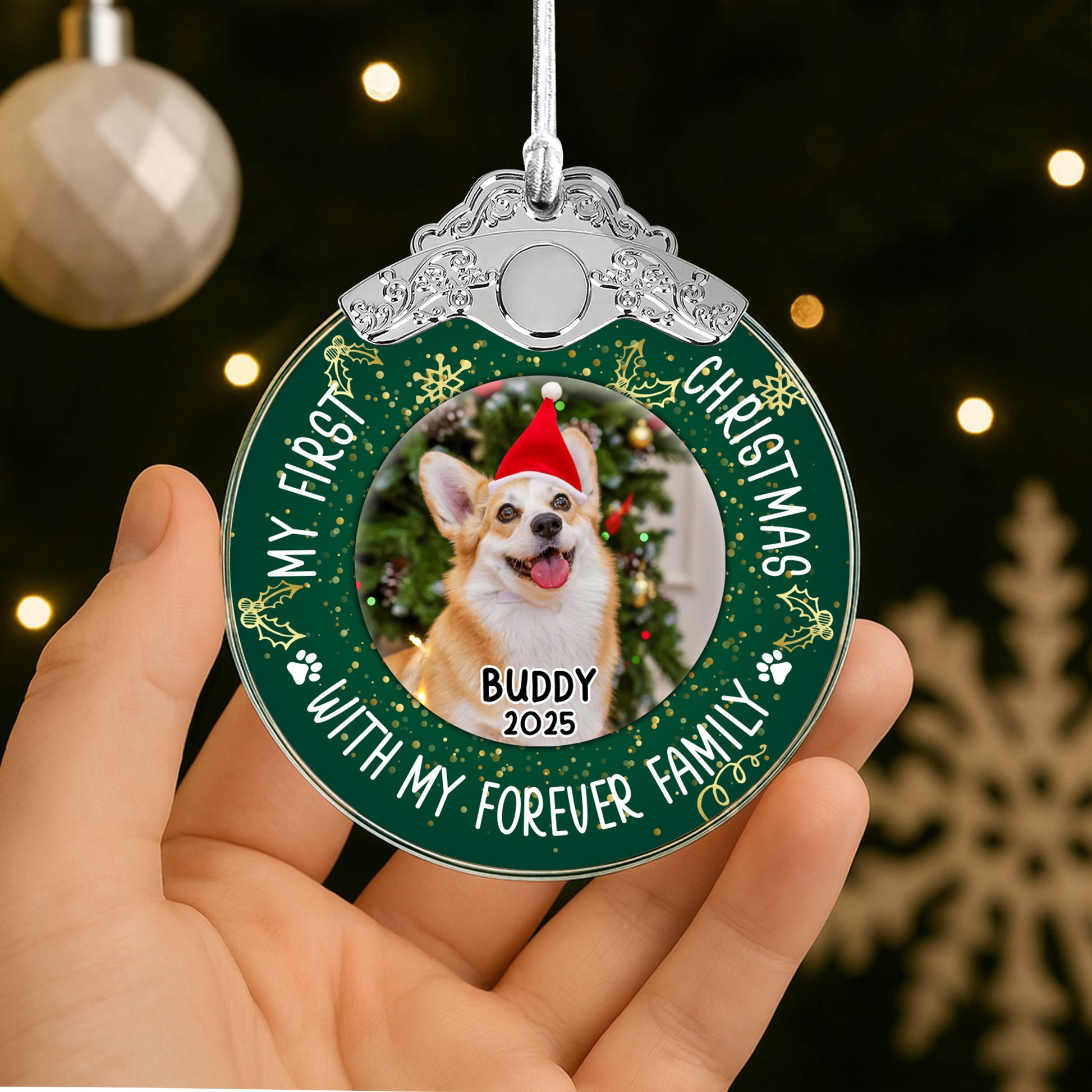 My First Christmas With Dog And Santa Hat