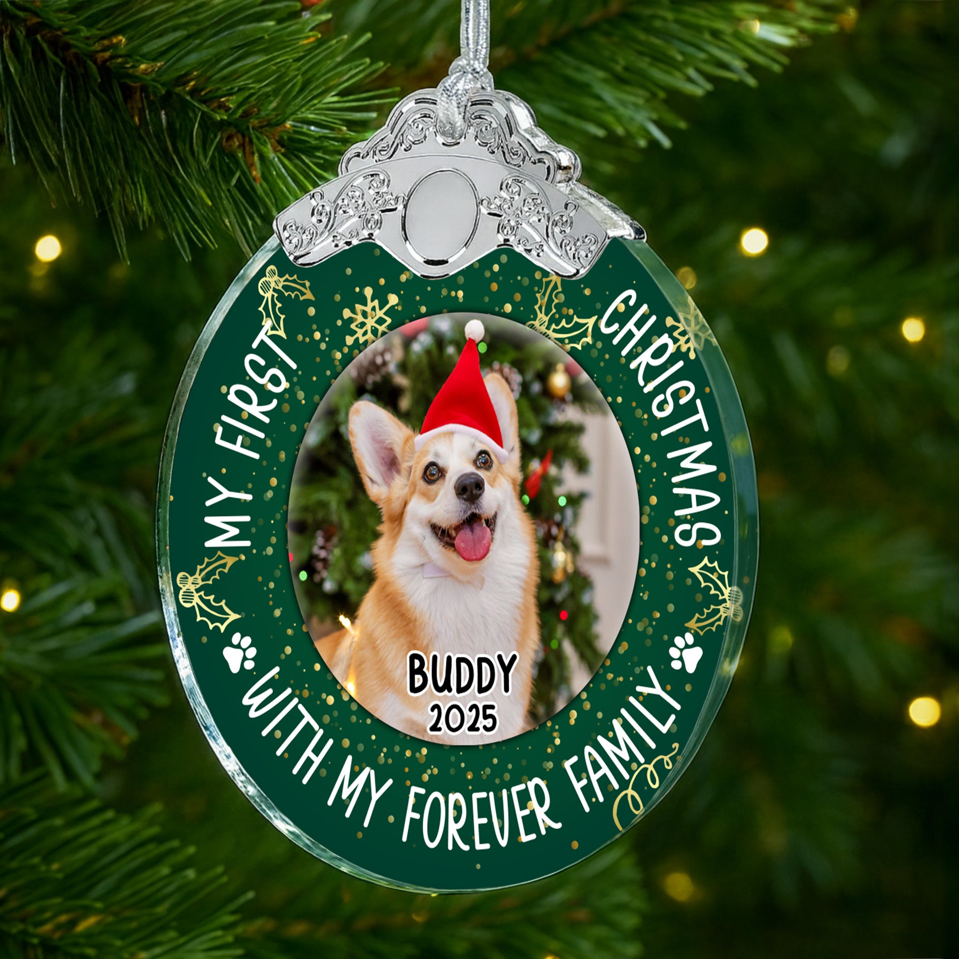 My First Christmas With Dog And Santa Hat