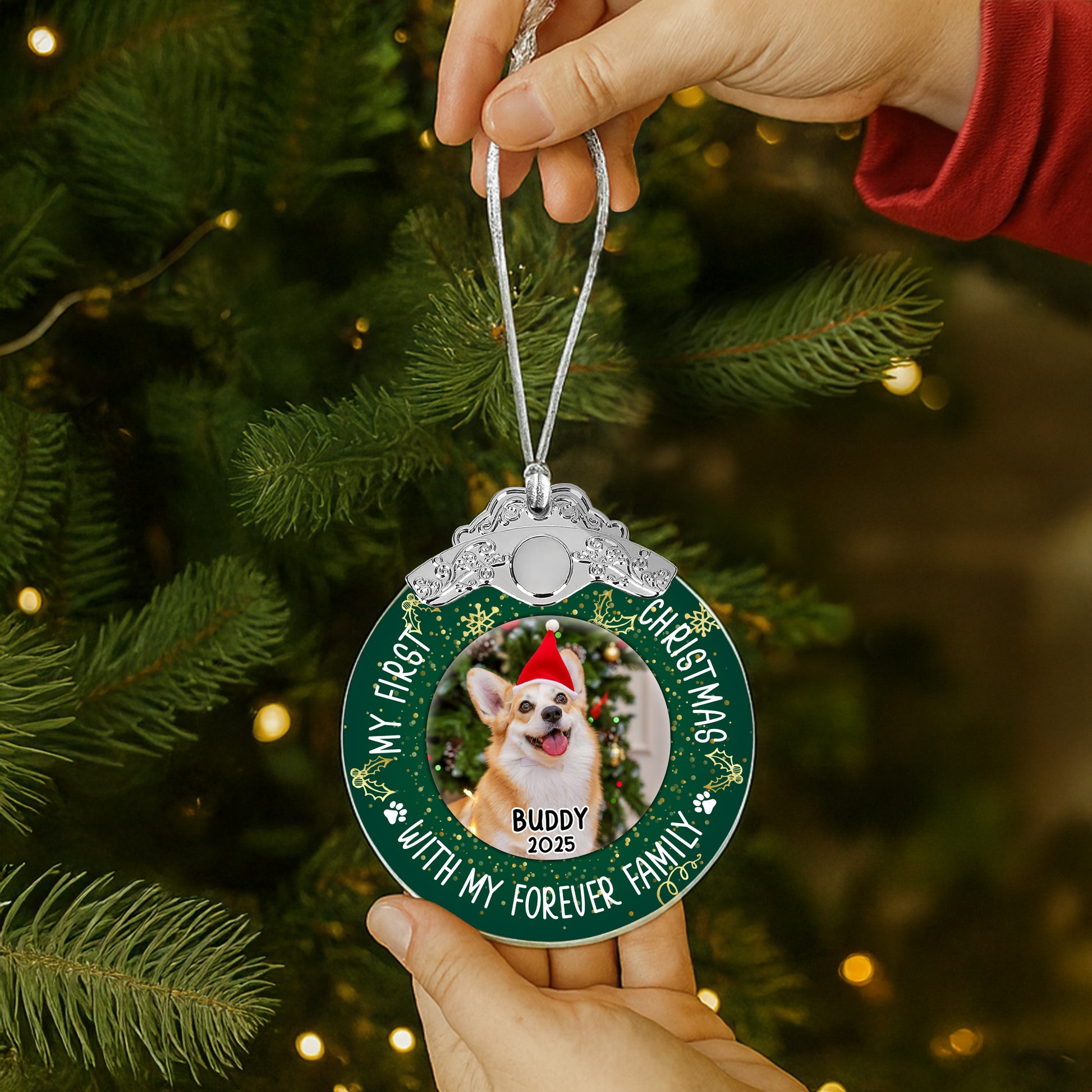 My First Christmas With Dog And Santa Hat