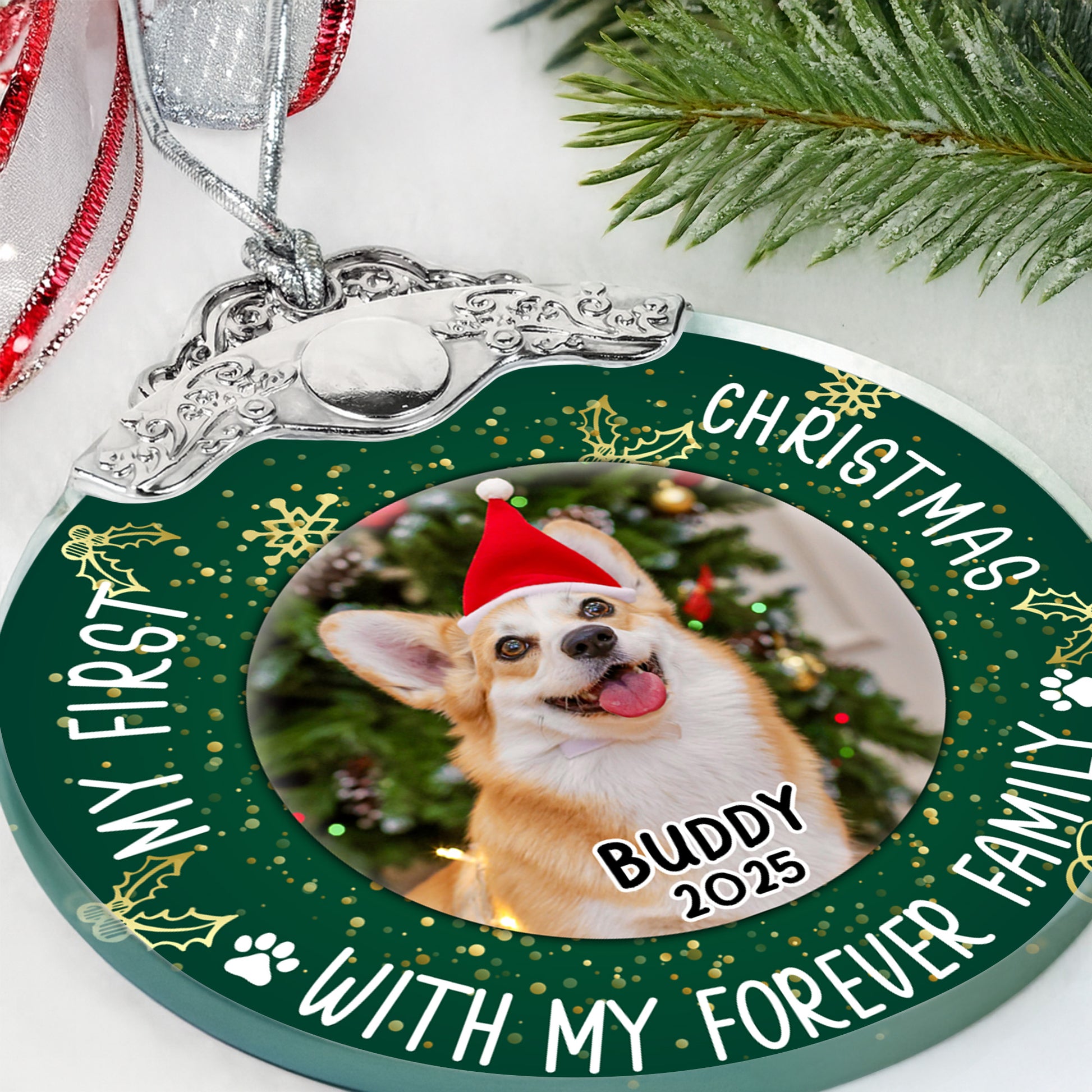 My First Christmas With Dog And Santa Hat