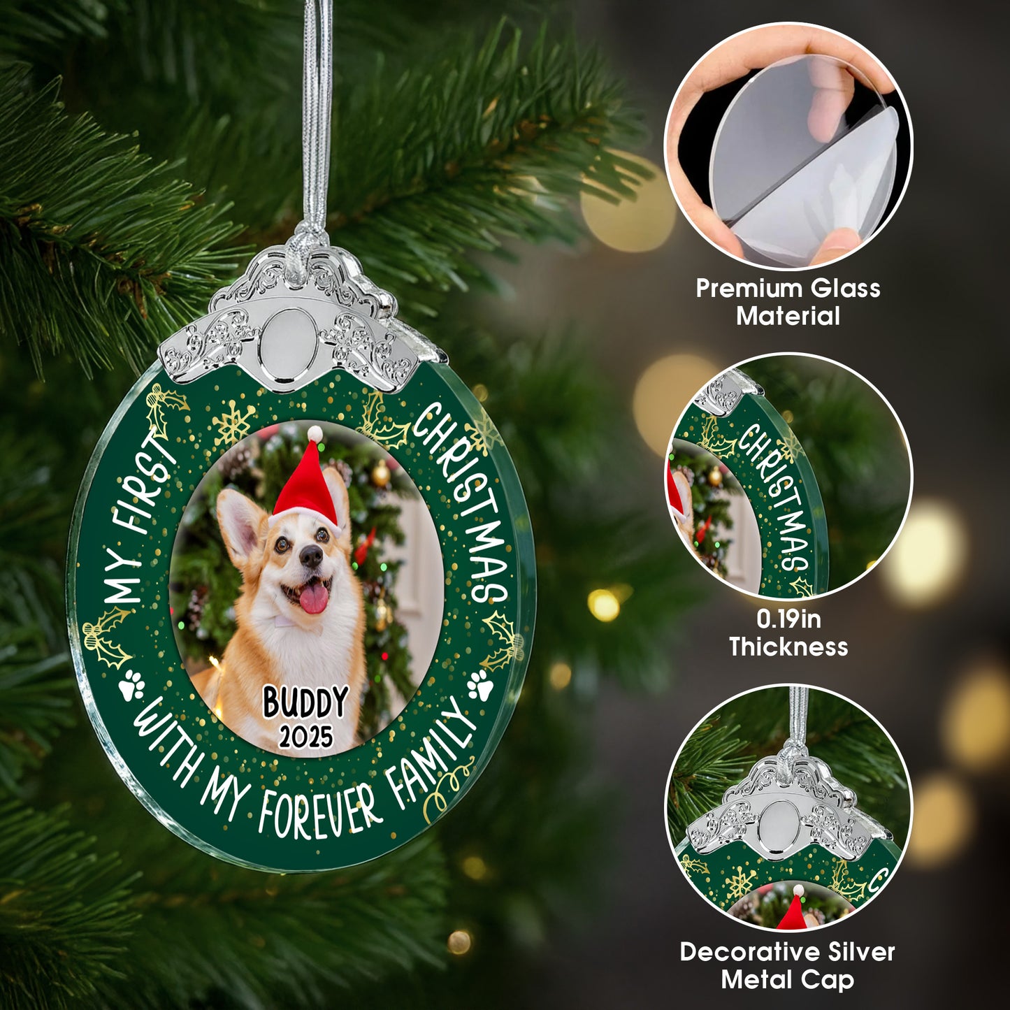 My First Christmas With Dog And Santa Hat