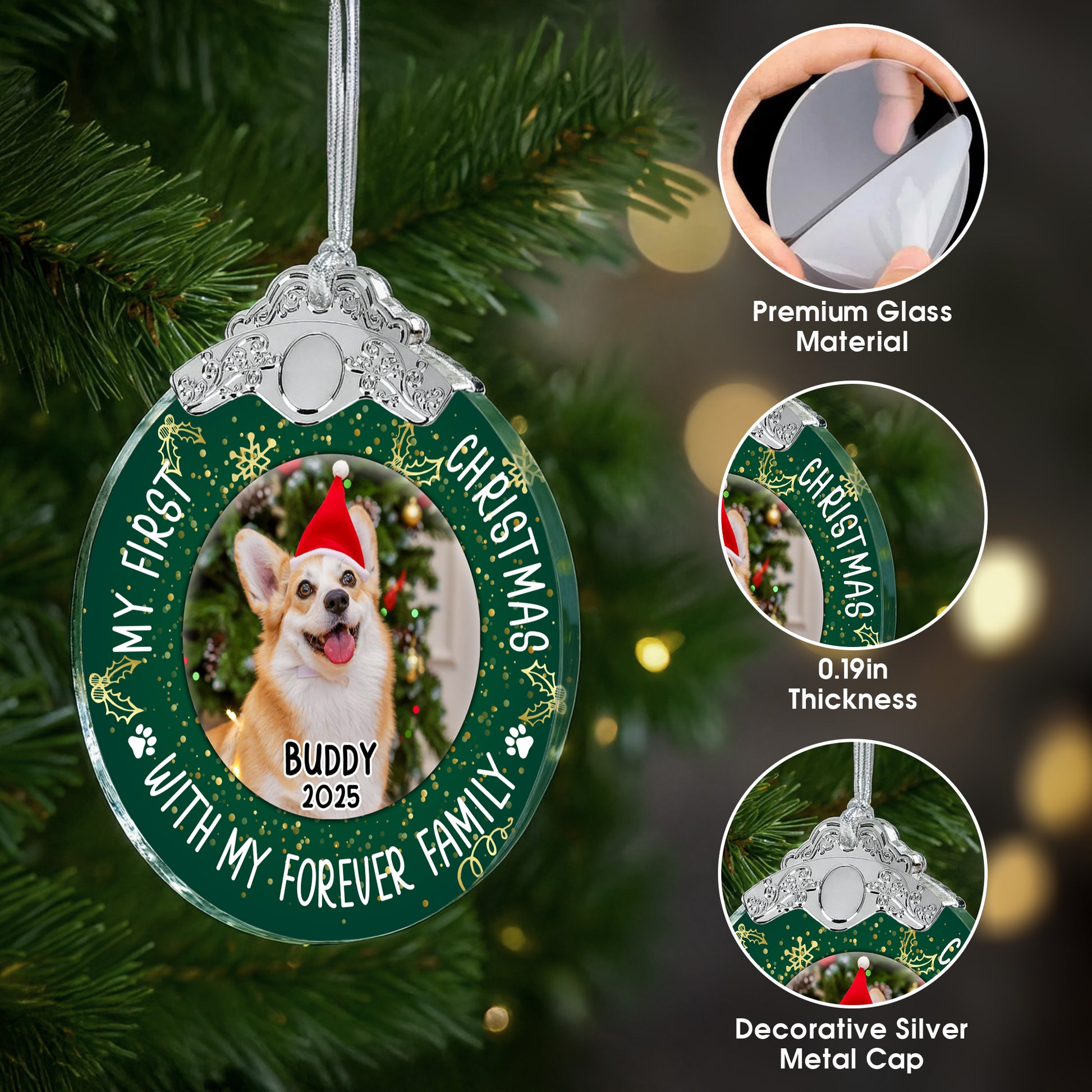 My First Christmas With Dog And Santa Hat