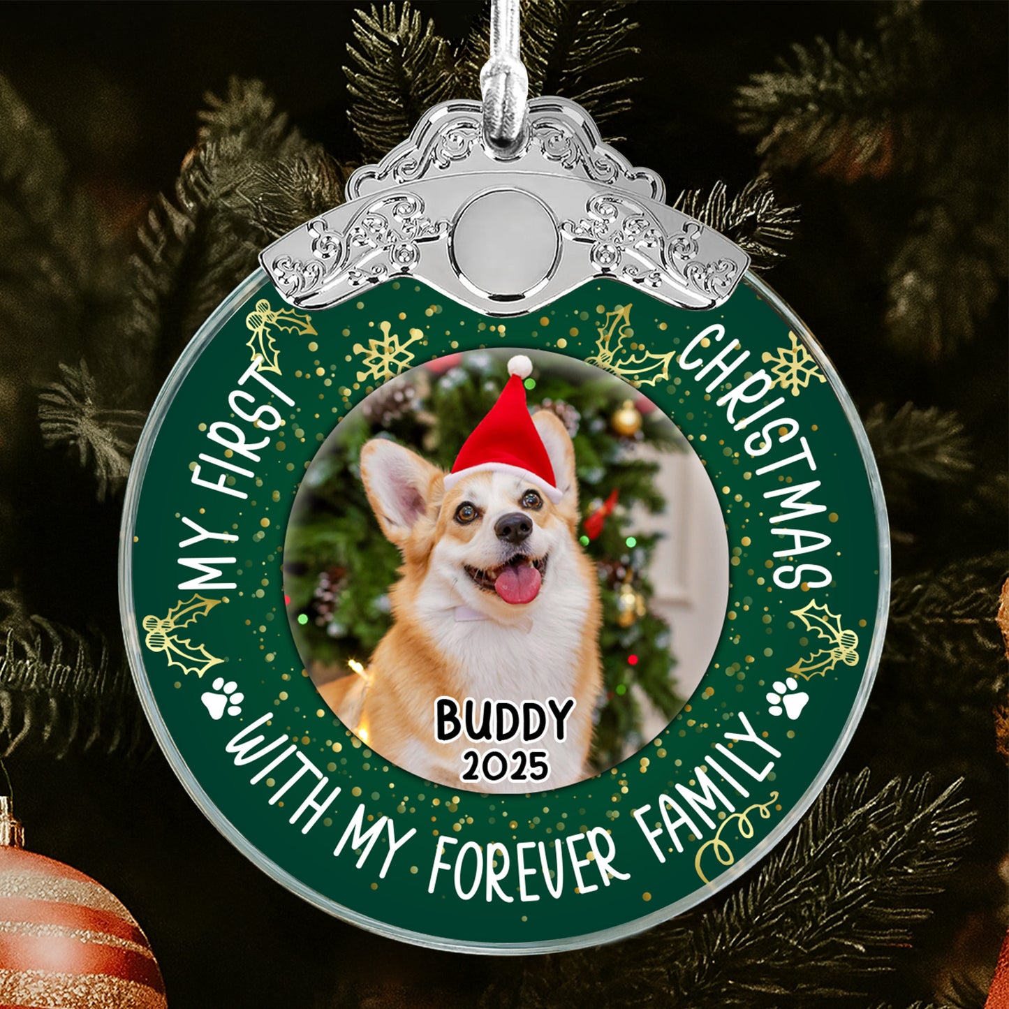 My First Christmas With Dog And Santa Hat