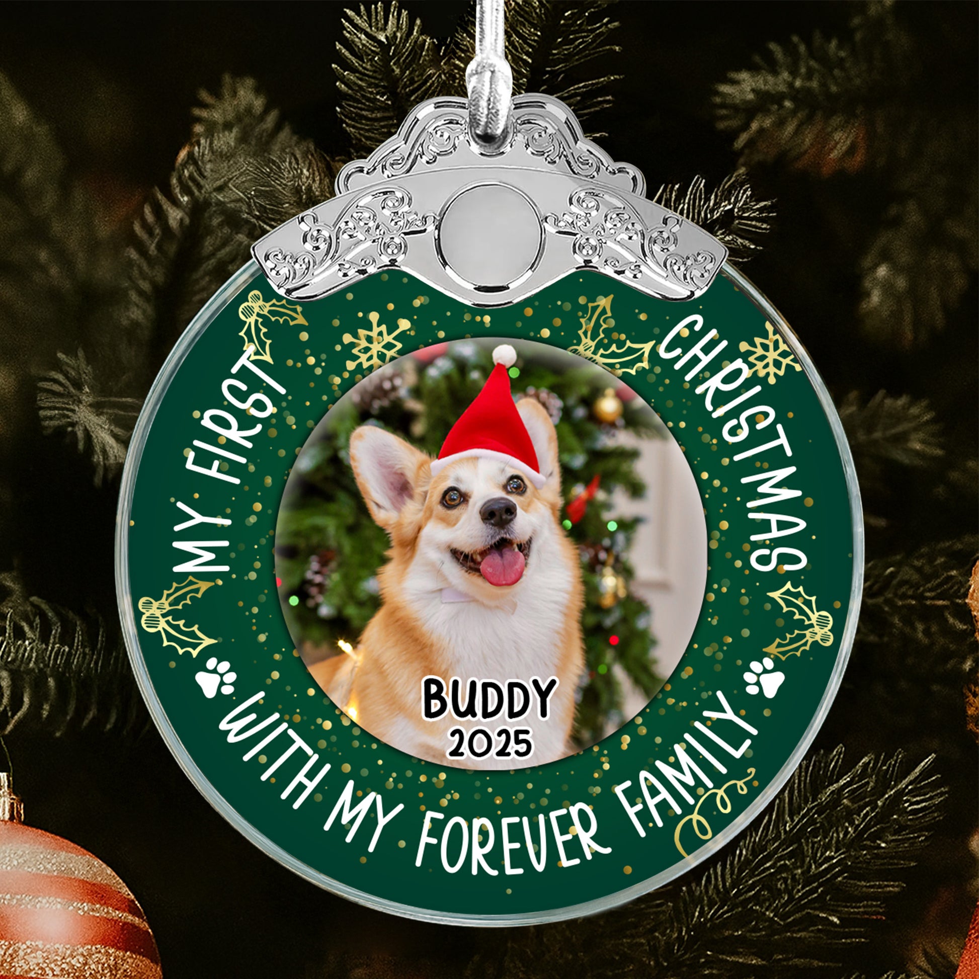 My First Christmas With Dog And Santa Hat