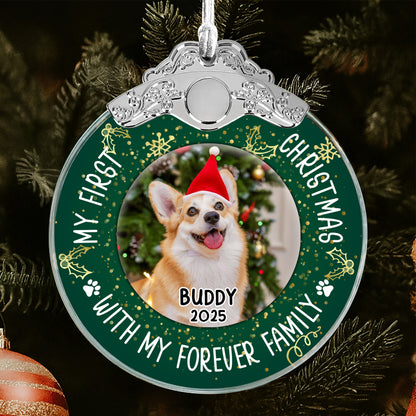 My First Christmas With Dog And Santa Hat