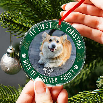 My First Christmas With Paw Prints and Holly Leaves