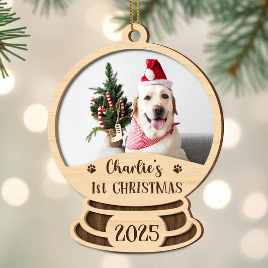 Charlie's 1st Christmas, Dog With Santa Hat