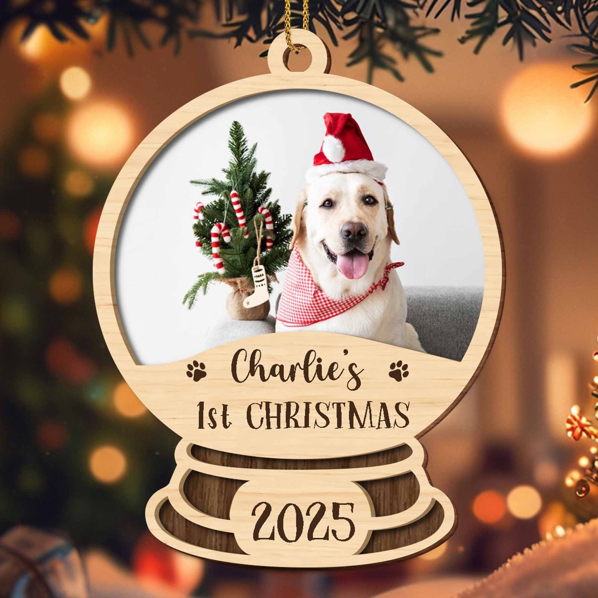 Charlie's 1st Christmas, Dog With Santa Hat