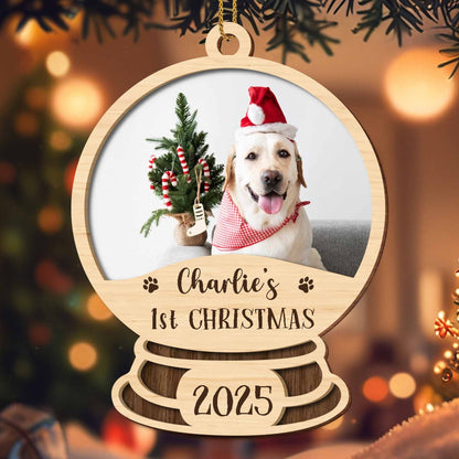 Charlie's 1st Christmas, Dog With Santa Hat