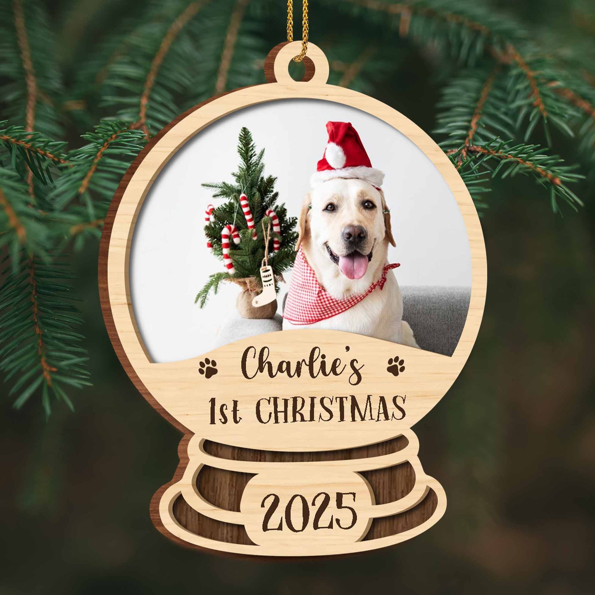 Charlie's 1st Christmas, Dog With Santa Hat