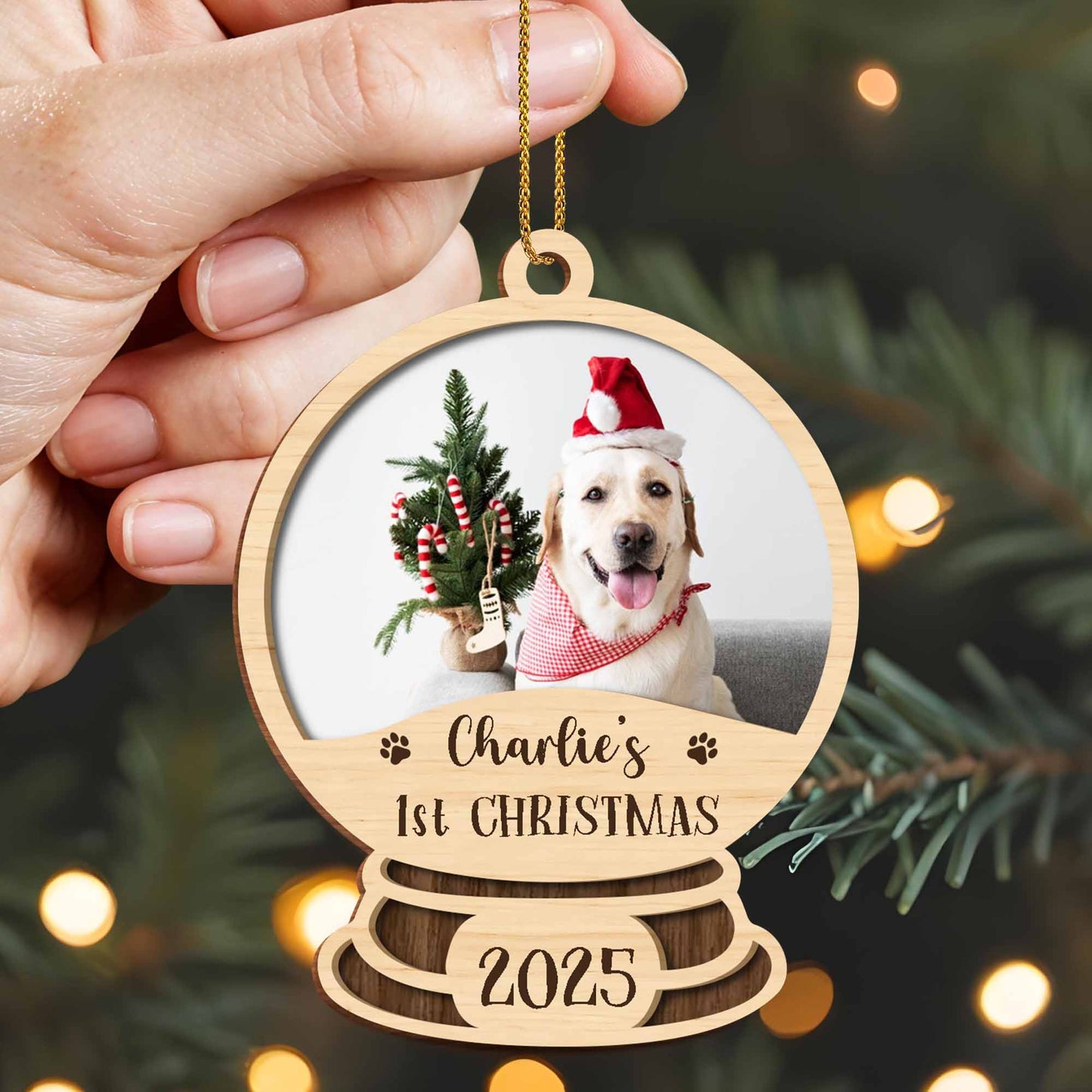 Charlie's 1st Christmas, Dog With Santa Hat
