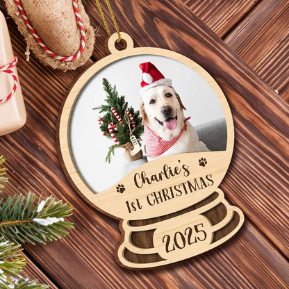 Charlie's 1st Christmas, Dog With Santa Hat