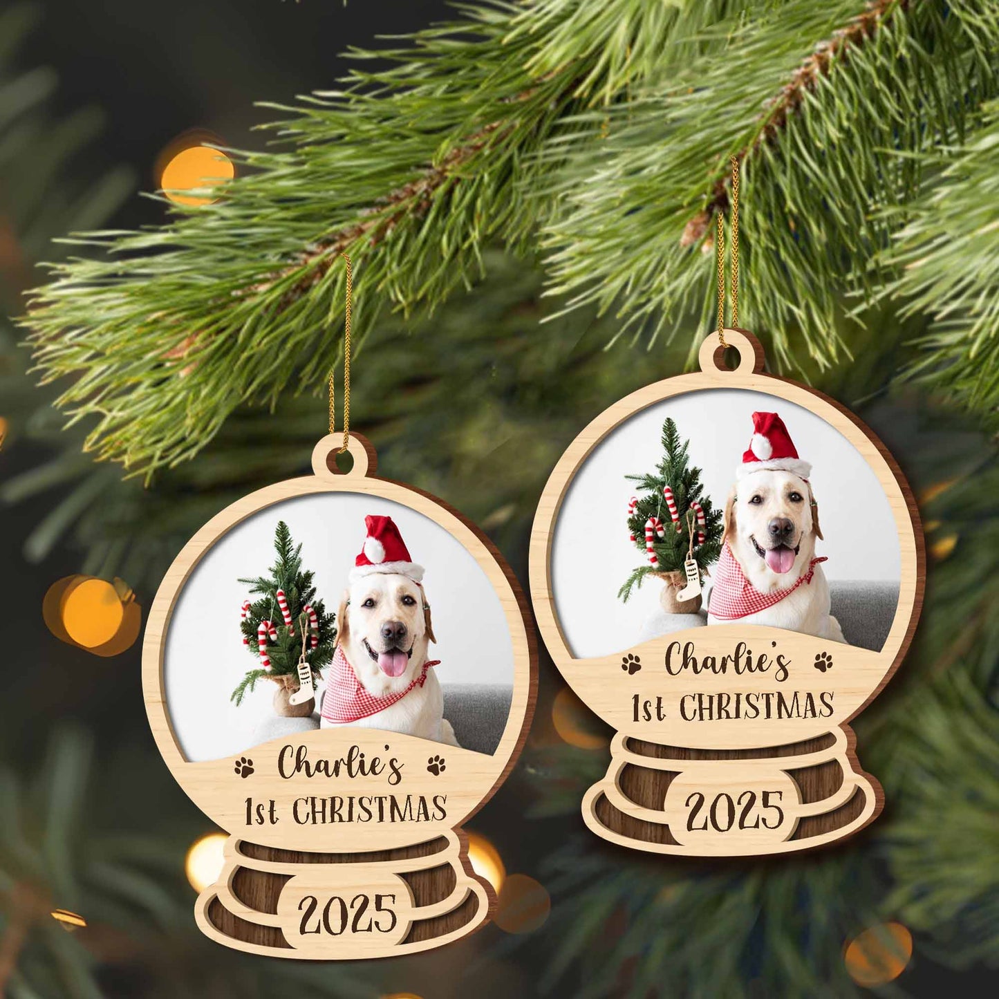 Charlie's 1st Christmas, Dog With Santa Hat