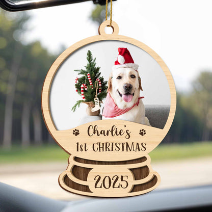 Charlie's 1st Christmas, Dog With Santa Hat