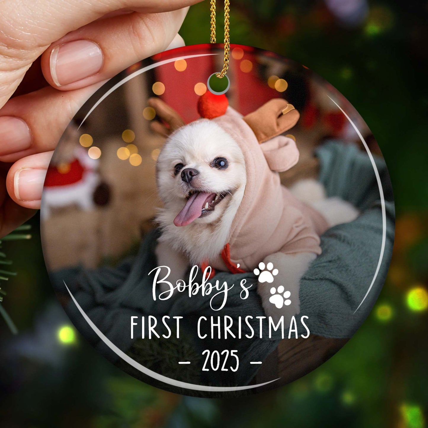 Bobby's First Christmas, Dog And Paw Prints
