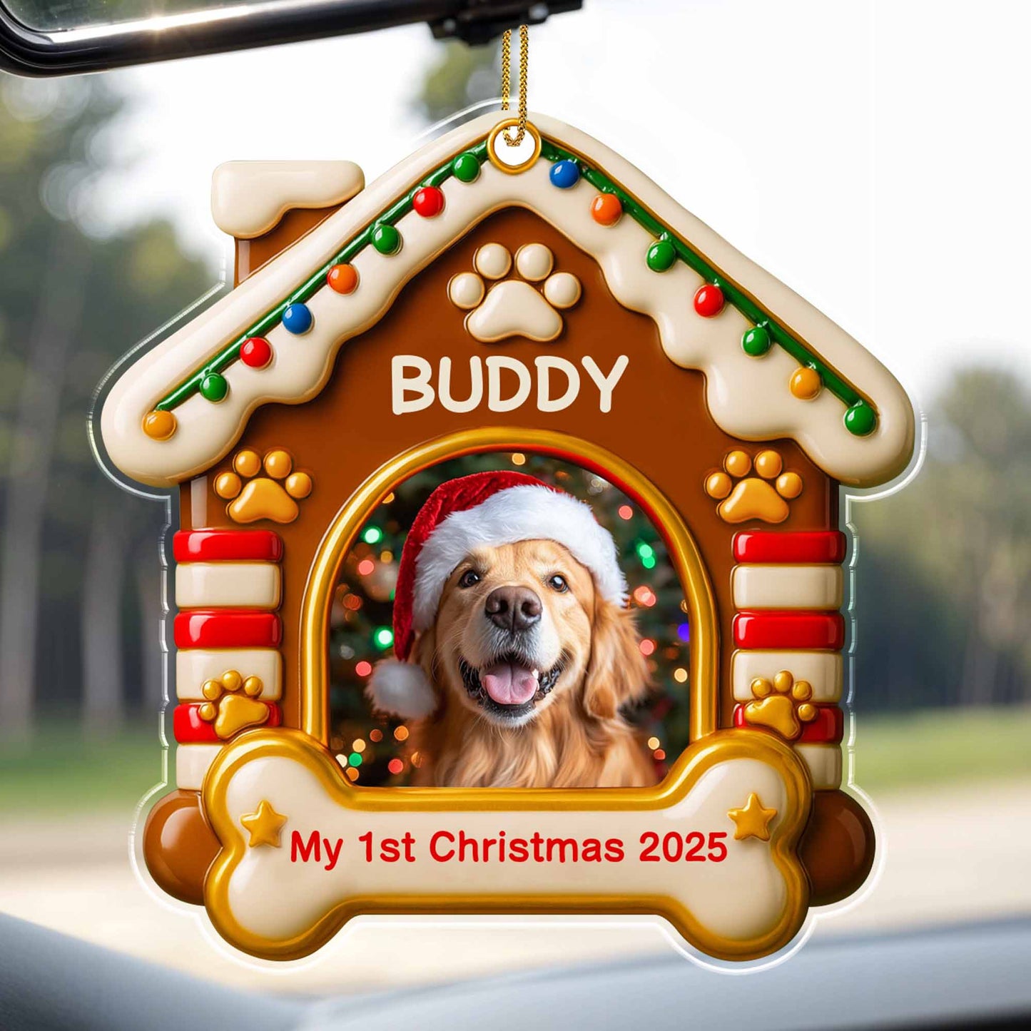 My 1st Christmas, Dog With Santa Hat