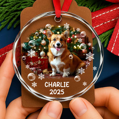 Celebrate Your Furry Friend's Spirit, Dog And Christmas Ornaments